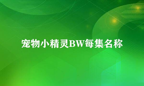 宠物小精灵BW每集名称