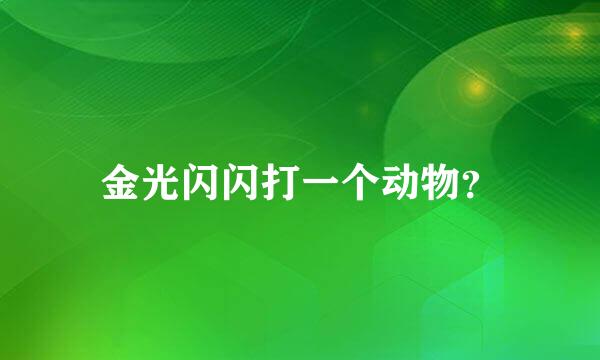 金光闪闪打一个动物？