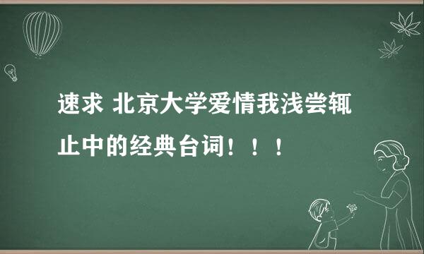 速求 北京大学爱情我浅尝辄止中的经典台词！！！