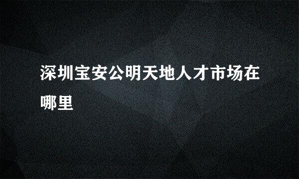 深圳宝安公明天地人才市场在哪里