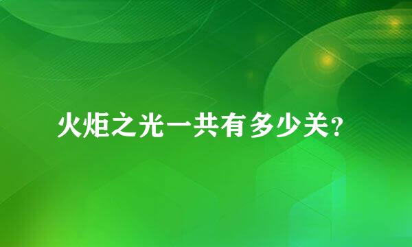 火炬之光一共有多少关？