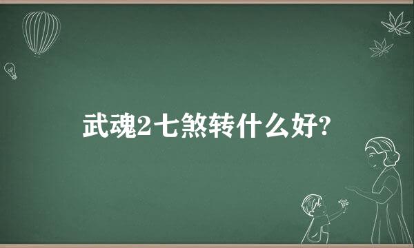 武魂2七煞转什么好?