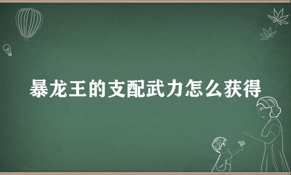 暴龙王的支配武力怎么获得