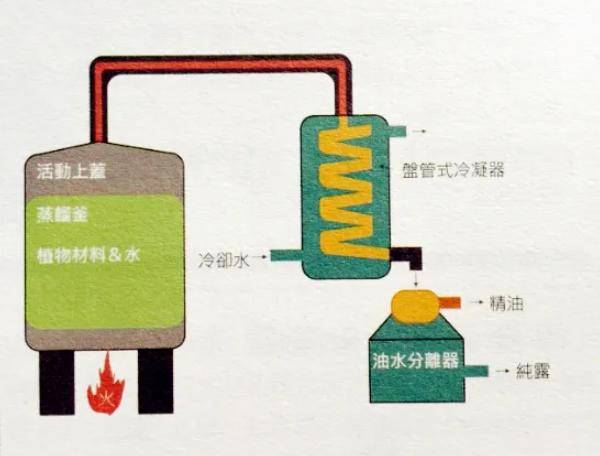 大家都是怎么提取纯露的