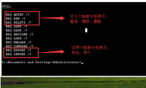 如何使用reg.exe