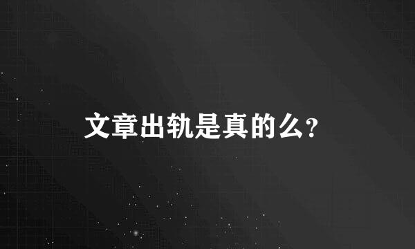 文章出轨是真的么？