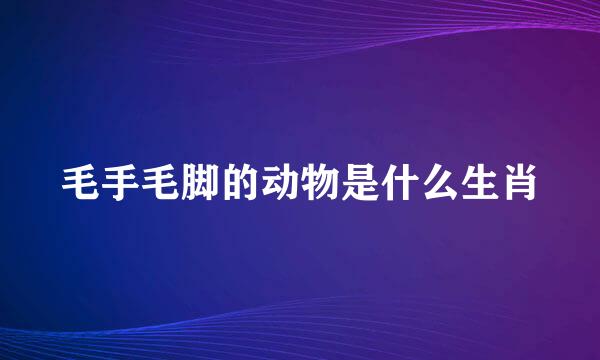 毛手毛脚的动物是什么生肖