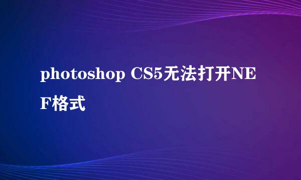 photoshop CS5无法打开NEF格式