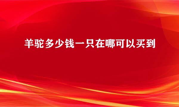 羊驼多少钱一只在哪可以买到