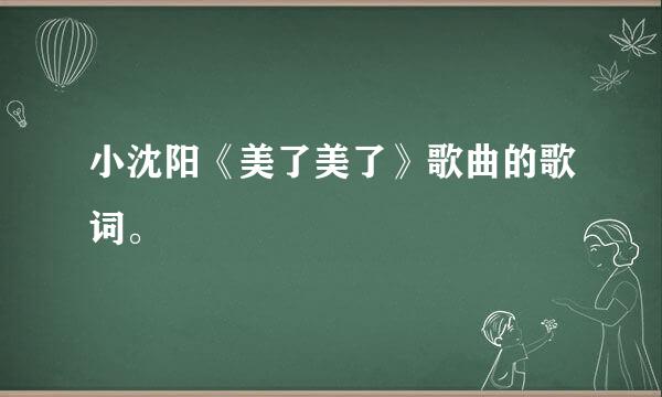 小沈阳《美了美了》歌曲的歌词。