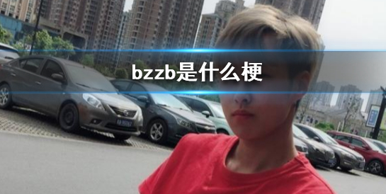 bzzb是什么梗?