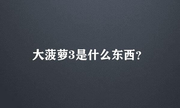 大菠萝3是什么东西？