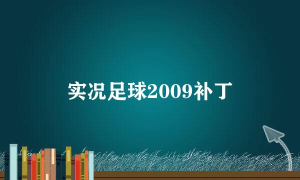 实况足球2009补丁