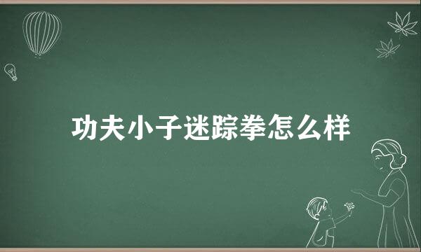 功夫小子迷踪拳怎么样