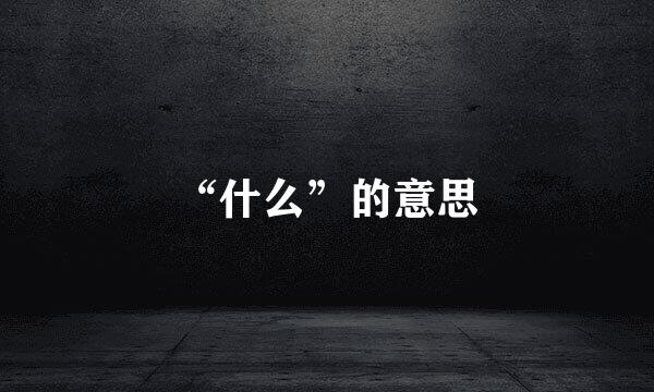 “什么”的意思