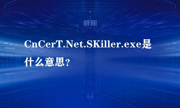 CnCerT.Net.SKiller.exe是什么意思？