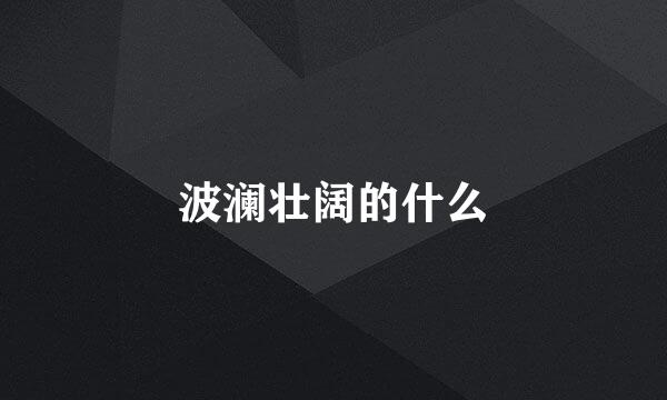 波澜壮阔的什么