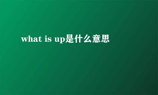 what is up是什么意思