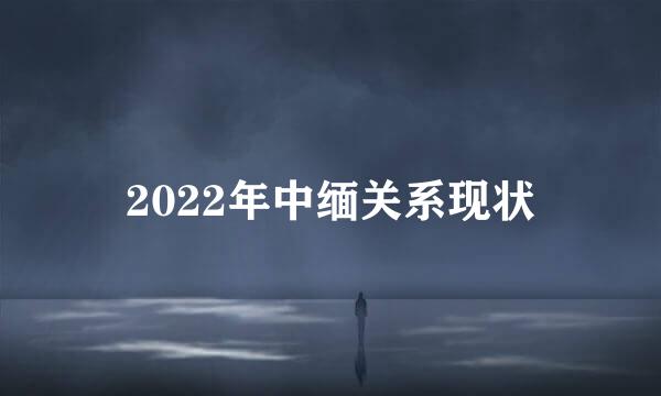 2022年中缅关系现状