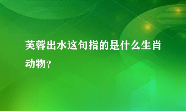 芙蓉出水这句指的是什么生肖动物？