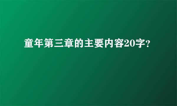 童年第三章的主要内容20字？