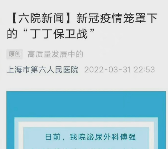 上海丁丁保卫战什么意思