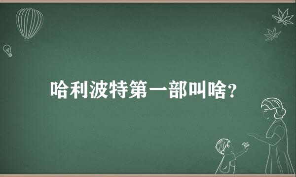 哈利波特第一部叫啥？