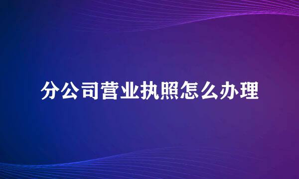 分公司营业执照怎么办理