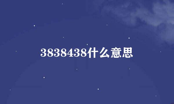 3838438什么意思