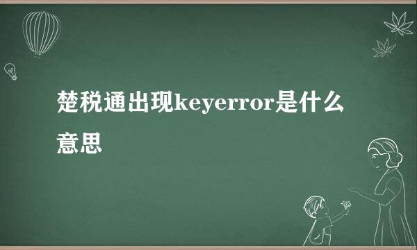 楚税通出现keyerror是什么意思