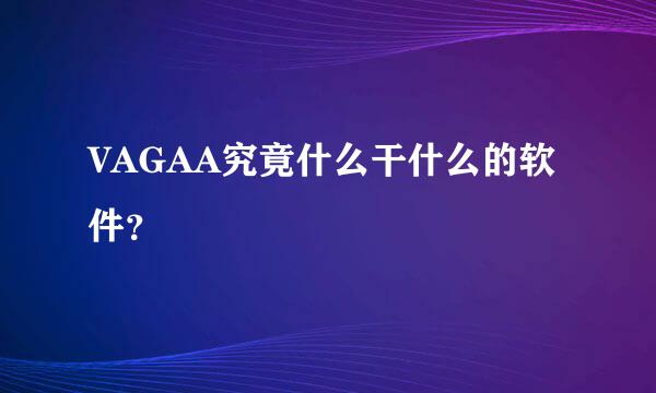 VAGAA究竟什么干什么的软件？