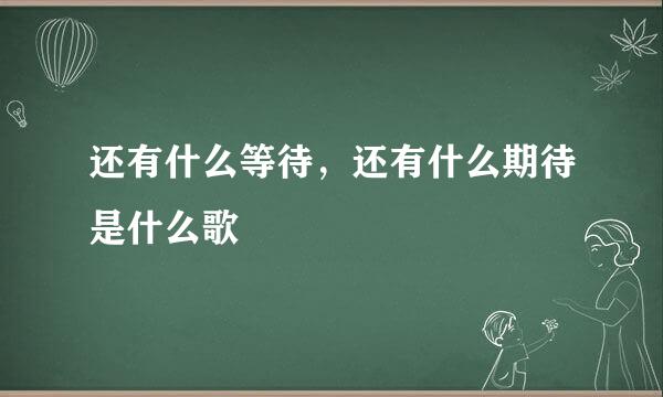 还有什么等待，还有什么期待是什么歌