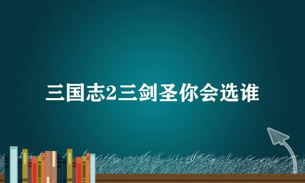 三国志2三剑圣你会选谁