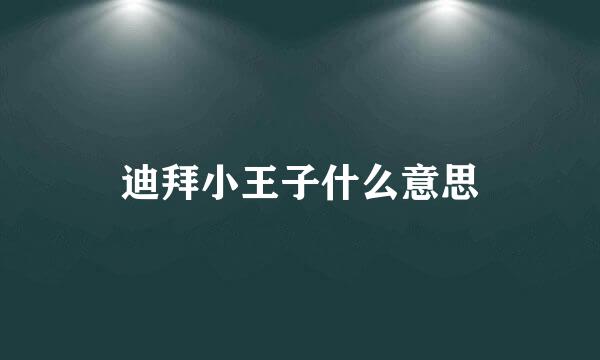 迪拜小王子什么意思