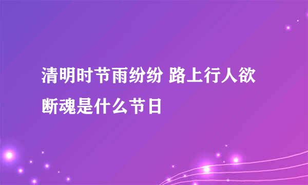 清明时节雨纷纷 路上行人欲断魂是什么节日