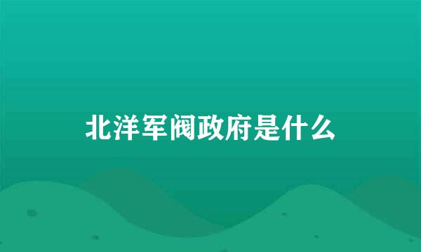 北洋军阀政府是什么