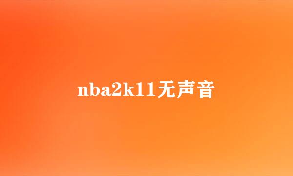 nba2k11无声音