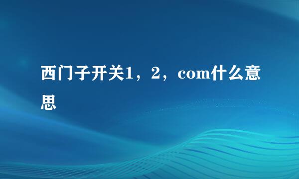 西门子开关1，2，com什么意思