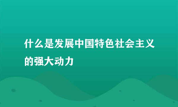 什么是发展中国特色社会主义的强大动力