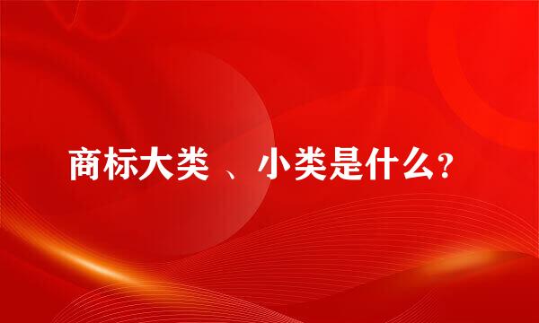 商标大类 、小类是什么？