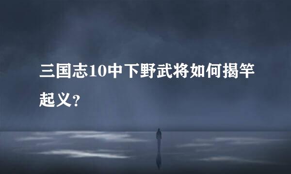 三国志10中下野武将如何揭竿起义？