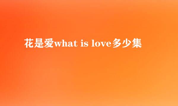 花是爱what is love多少集