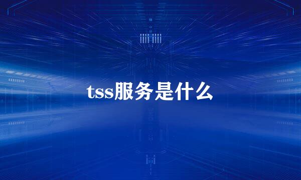 tss服务是什么