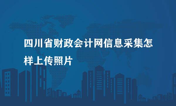 四川省财政会计网信息采集怎样上传照片