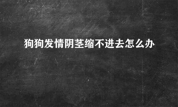 狗狗发情阴茎缩不进去怎么办