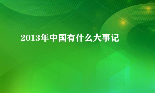 2013年中国有什么大事记