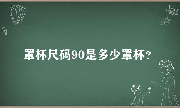 罩杯尺码90是多少罩杯？