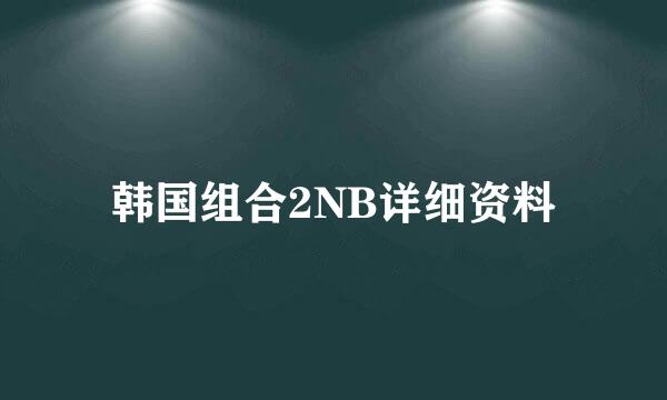 韩国组合2NB详细资料