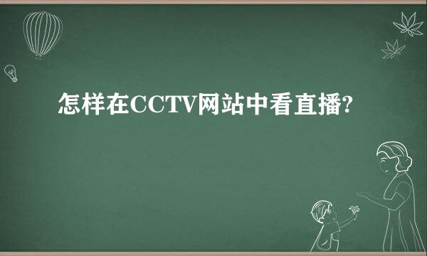 怎样在CCTV网站中看直播?