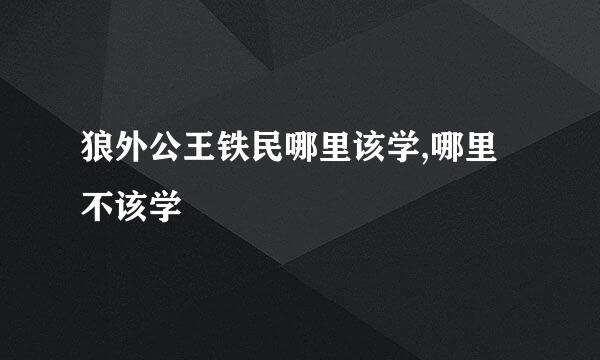 狼外公王铁民哪里该学,哪里不该学